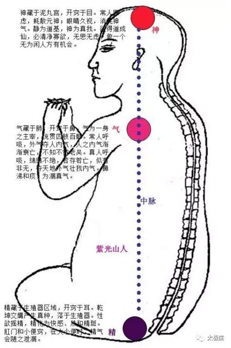 玄關竅解釋|玄關正論（修真圖詳解）